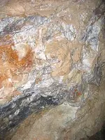 Following the Vein.webp