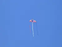 kite.webp