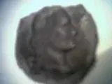 Picture010.webp