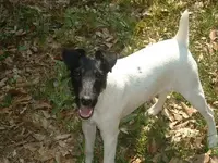 DSCF0011.webp