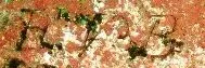 2007_0930Image0006.webp