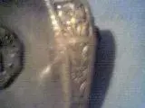 Picture017.webp