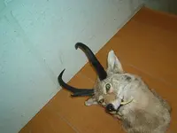 IM001157.webp