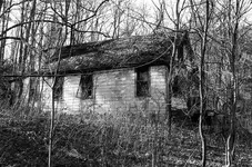 dads_uncles_old_cabin_rental.webp