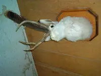 IM001158.webp