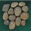 petrock.webp