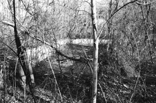 old pool.webp