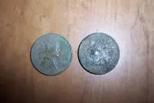 Backyard finds 006.webp