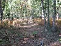 old road.webp