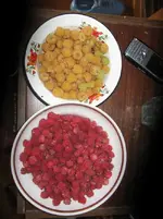 Malina.webp