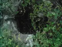 pictures 069.webp