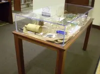 BottleDisplay.webp