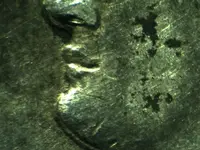 1834 dbl nose, lips, chin.webp