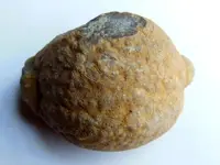 RSCN7415.webp