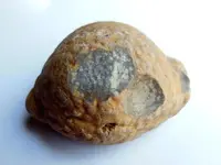 RSCN7416.webp