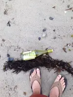 image-2619640858.webp