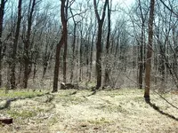 DSCF0004.webp
