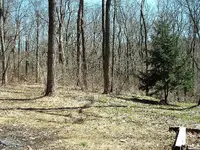 DSCF0005.webp