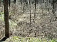 DSCF0007.webp