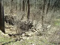 DSCF0008.webp