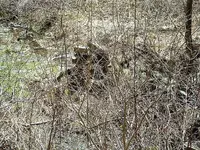 DSCF0009.webp