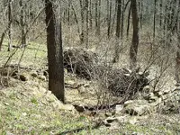 DSCF0010.webp