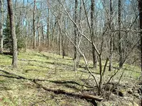 DSCF0011.webp