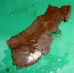 DSCF0011(1).webp