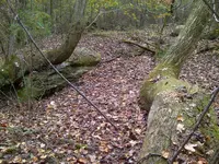 IMG-20131029-01077.webp