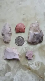 march28finds.webp