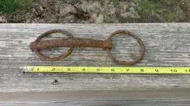 Horse Tack.webp