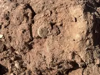 16.Dirt Shot Button.webp