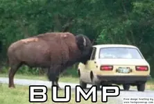 bump meme.webp
