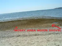 DSCF2874.webp