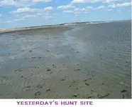 DSCF2870.webp