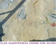 DSCF2865.webp