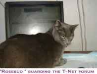 DSCF2875.webp
