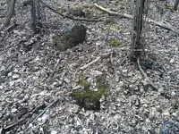 IMG_20140410_120136_840.webp
