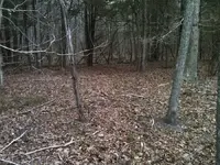unnamed5.webp