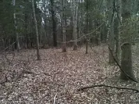 unnamed6.webp