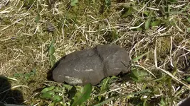 S1010006.webp S1010006.webp
