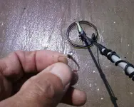ring.webp