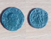 Coin 8.webp