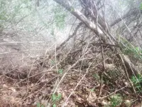 image-4019403625.webp image-4019403625.webp