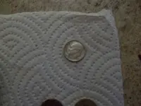 100_6558.webp