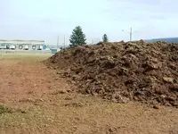DSCF0008.webp