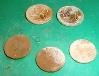 DSCF0015.webp