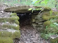 IMG_0678.webp IMG_0678.webp