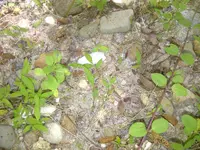 IMG-20140511-01806.webp