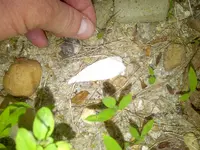 IMG-20140511-01807.webp